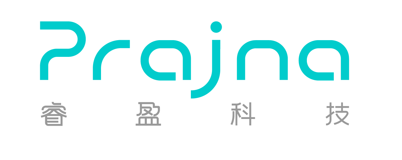 RuiyingTechnology Logo